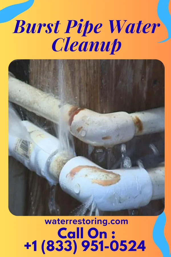 Burst Pipe Water Cleanup in McKnightstown, PA