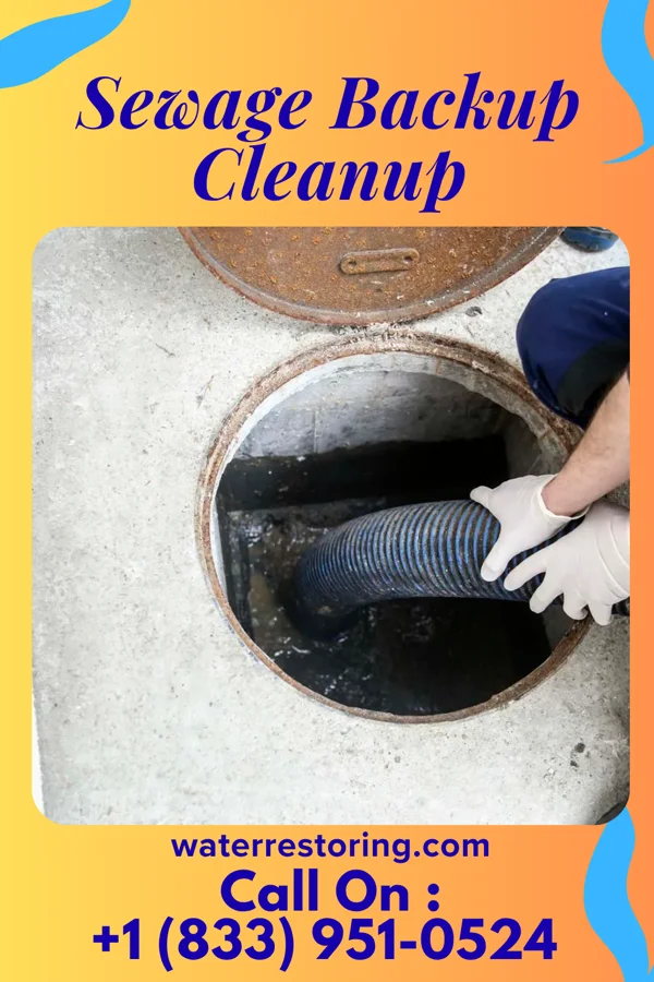 Sewage Backup Cleanup in McKnightstown, PA