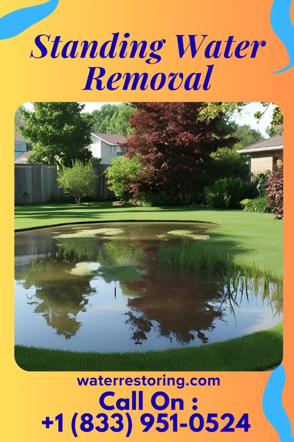Standing Water Removal in McKnightstown, PA